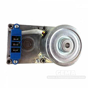 Schneckenmotor für den Pelletkessel Thermoflux Pelling Eco (neue Ausführung) 25 - GEMA Shop